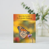 Monarch Butterfly in Search of Pollen Kaart (Staand voorkant)