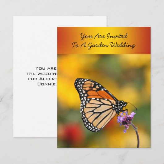 Monarch Butterfly in Search of Pollen Kaart (Voorkant / Achterkant)