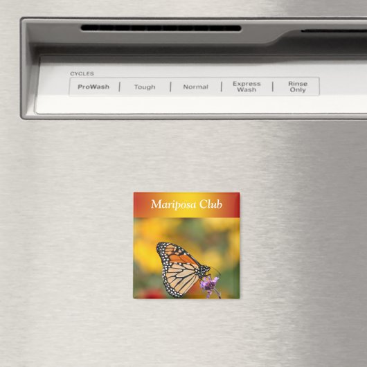 Monarch Butterfly in Search of Pollen Magneet (Insitu (Vaatwasser))