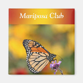 Monarch Butterfly in Search of Pollen Magneet (Voorkant)