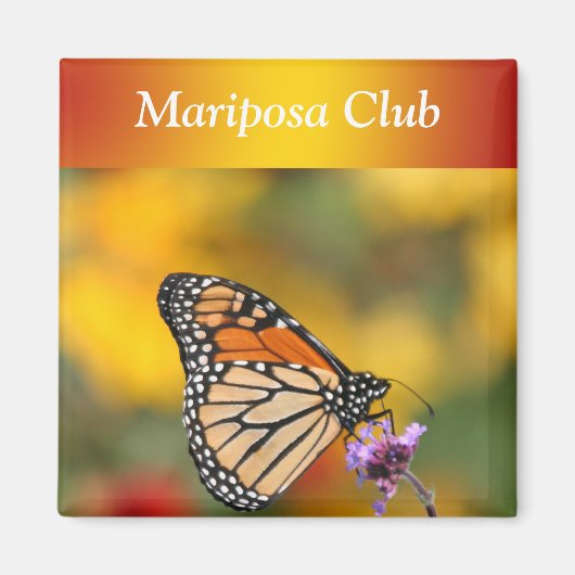 Monarch Butterfly in Search of Pollen Magneet (Voorkant)