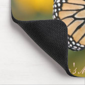 Monarch Butterfly in Search of Pollen Muismat (Hoek)