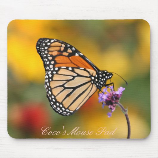 Monarch Butterfly in Search of Pollen Muismat (Voorkant)