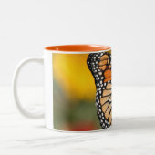 Monarch Butterfly in Search of Pollen Tweekleurige Koffiemok (Links)