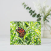 Monarch Butterfly in vlucht Briefkaart (Staand voorkant)