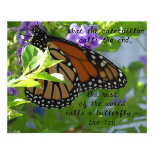 Monarch Butterfly Inspirerend Quote Poster