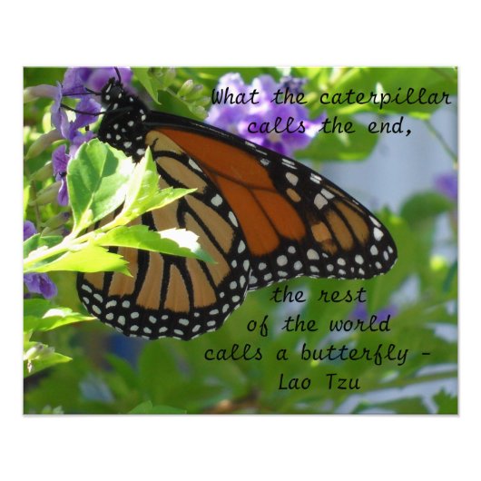 Monarch Butterfly Inspirerend Quote Poster (Voorkant)