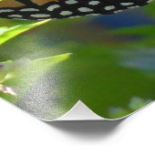 Monarch Butterfly Inspirerend Quote Poster (Hoek)