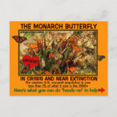 Monarch Butterfly is met uitsterven bedreigd, hier Briefkaart (Voorkant)