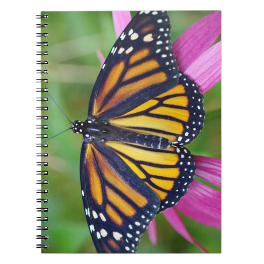Monarch Butterfly Journal Notitieboek (Voorkant)
