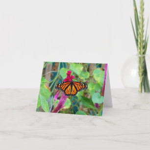 Monarch Butterfly Kaart