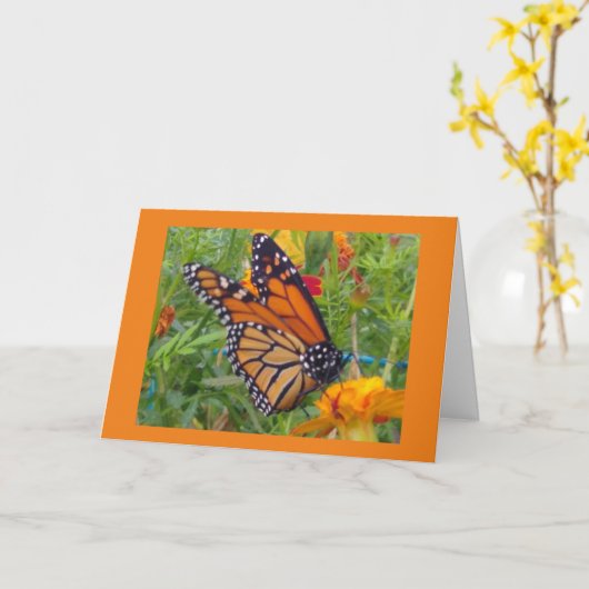 Monarch Butterfly Kaart (Gele Bloem)