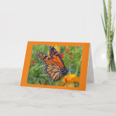 Monarch Butterfly Kaart (Voorkant)