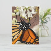 Monarch Butterfly Kaart (Staand voorkant)