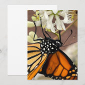 Monarch Butterfly Kaart (Voorkant / Achterkant)