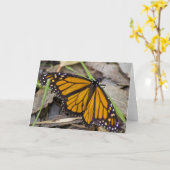 Monarch Butterfly Kaart (Gele Bloem)
