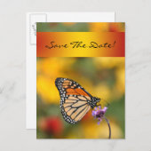 Monarch Butterfly-kaart Aankondigingskaart (Voorkant / Achterkant)
