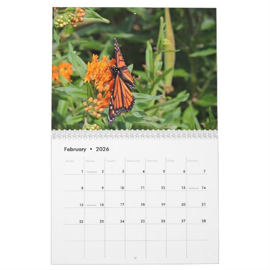Monarch Butterfly Kalender (Feb 2026)