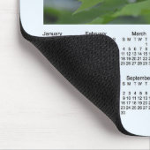 Monarch Butterfly-kalender 2018 van Janz Muismat (Hoek)
