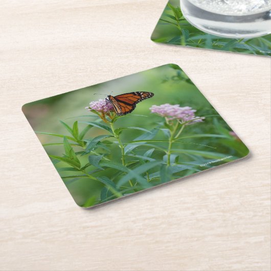 Monarch Butterfly Kartonnen Onderzetters (Schuin)