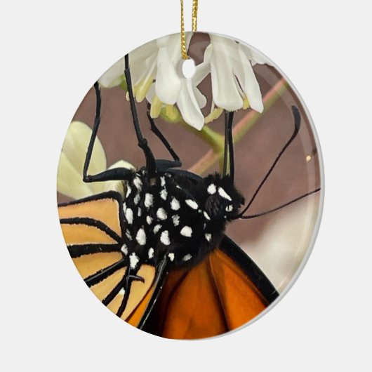 Monarch Butterfly Keramisch Ornament (Links)