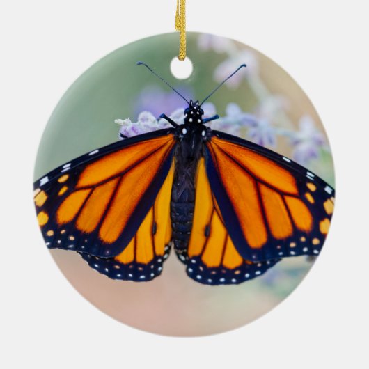 Monarch Butterfly Keramisch Ornament (Achterkant)