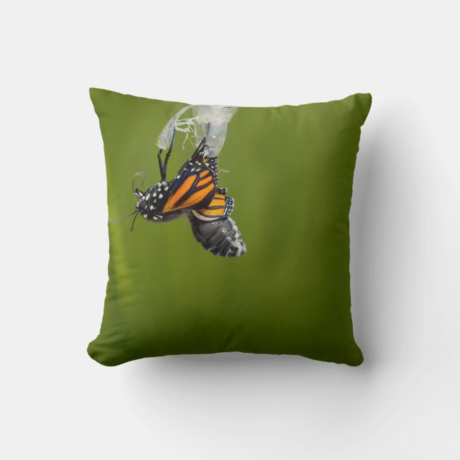 Monarch Butterfly komt uit Cocoon Pillow Kussen (Voorkant)