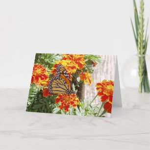 "Monarch Butterfly" krijgt wel een kaartje #1 Kaart