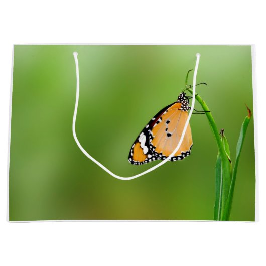 Monarch Butterfly Large Cadeautasje (Voorkant)