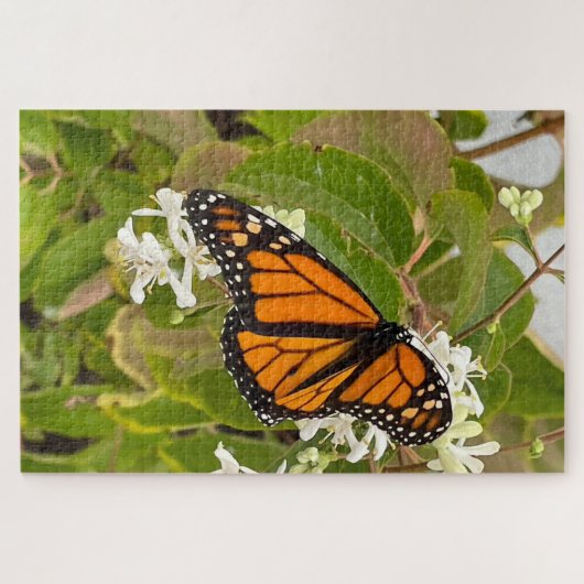 Monarch Butterfly Legpuzzel (Horizontaal)