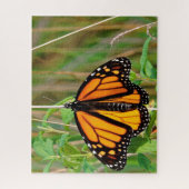 Monarch Butterfly. Legpuzzel (Verticaal)