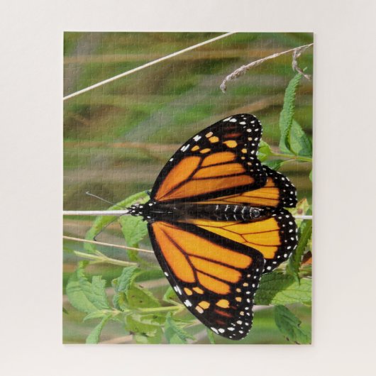 Monarch Butterfly. Legpuzzel (Verticaal)