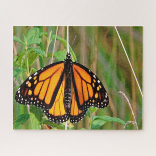 Monarch Butterfly. Legpuzzel
