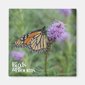 Monarch Butterfly Magneet (Voorkant)