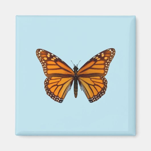 Monarch Butterfly Magneet (Voorkant)