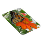 Monarch Butterfly Magneet (Rechterzijde)