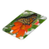 Monarch Butterfly Magneet (Linkerzijde)