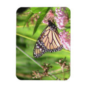 Monarch Butterfly Magneet (Verticaal)