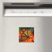 Monarch Butterfly Magneet (Insitu (Vaatwasser))