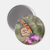 Monarch Butterfly Magneet (Voorkant / Achterkant)