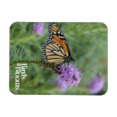 Monarch Butterfly Magneet (Horizontaal)