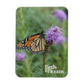 Monarch Butterfly Magneet (Verticaal)