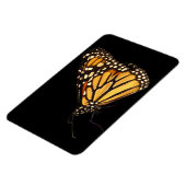 Monarch Butterfly Magneet (Linkerzijde)
