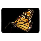 Monarch Butterfly Magneet (Horizontaal)