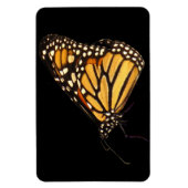 Monarch Butterfly Magneet (Verticaal)