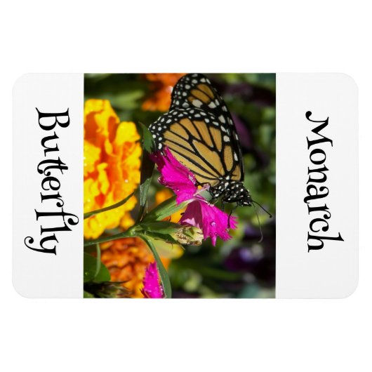 Monarch Butterfly Magneet (Horizontaal)