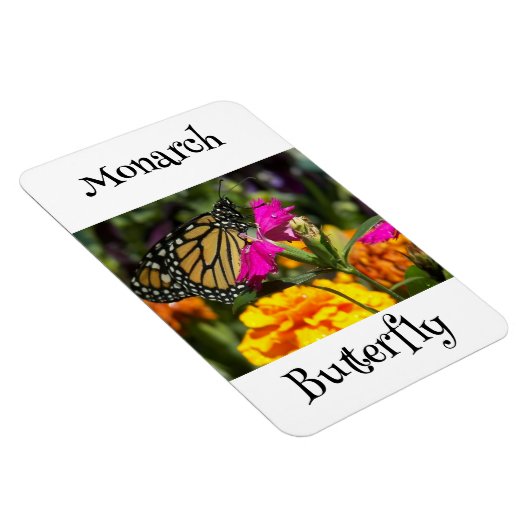 Monarch Butterfly Magneet (Rechterzijde)