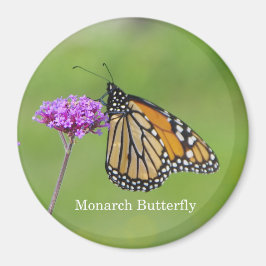 Monarch Butterfly magneet