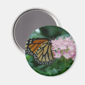 Monarch Butterfly Magnet (Voorkant / Achterkant)