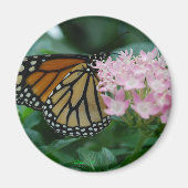 Monarch Butterfly Magnet (Voorkant)